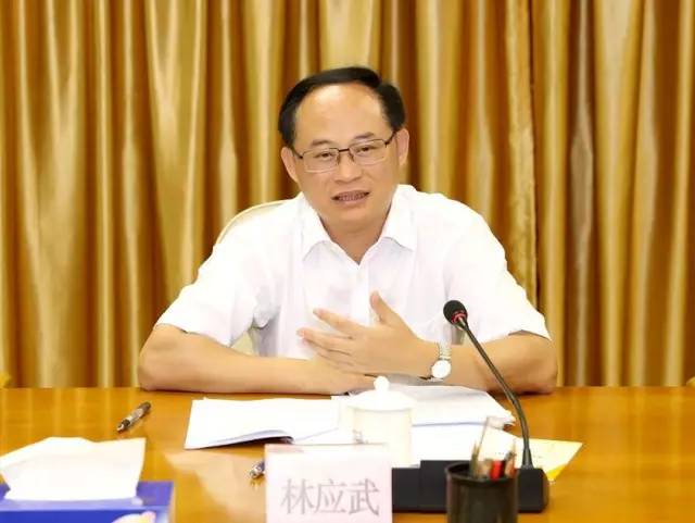 林应武2
